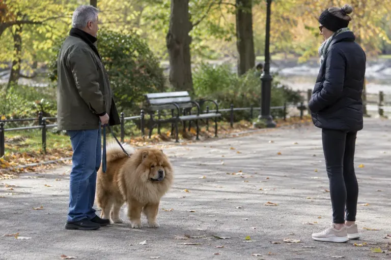 A Chow Chow beside its owner on a park path, with another person keeping a respectful distance.